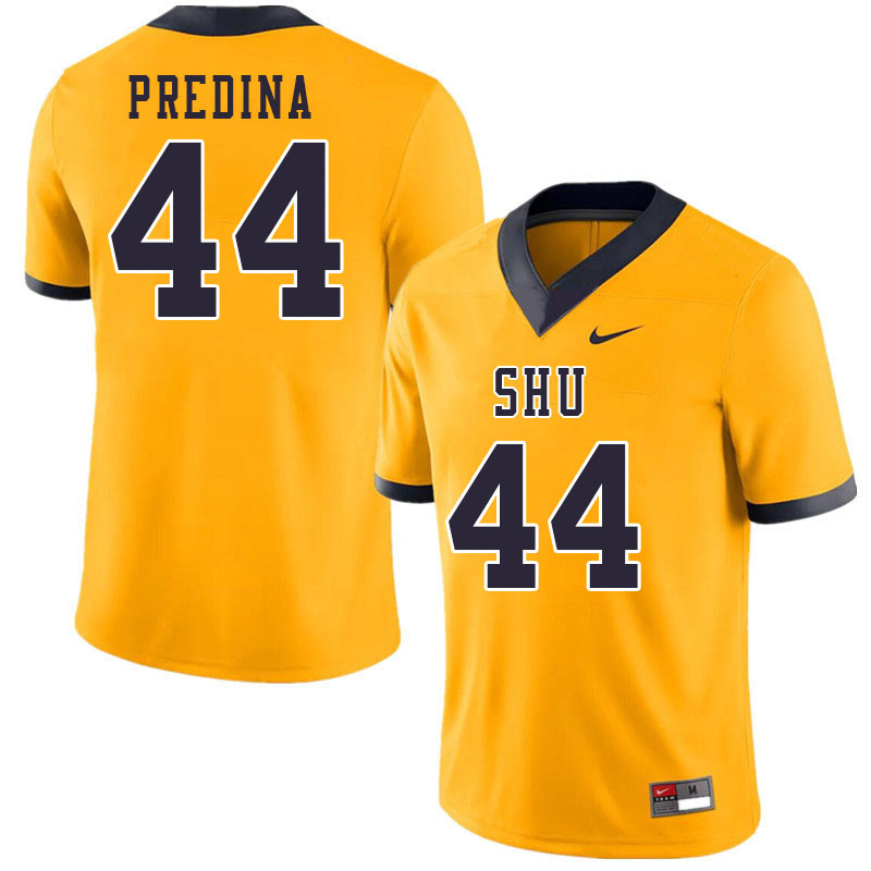 Men-Youth #44 Greg Predina Siena Heights Saints 2023 College Football Jerseys Stitched Sale-Gold